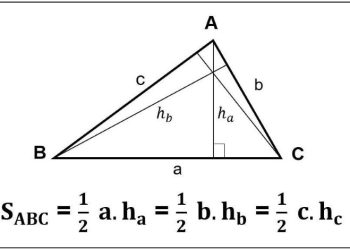 Diện tích tam giác vuông