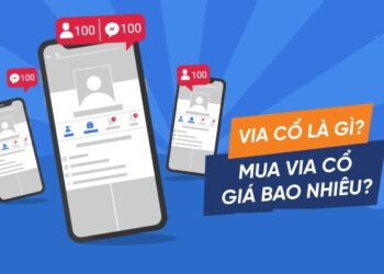 Tìm hiểu về via là gì và via việt cổ là gì?