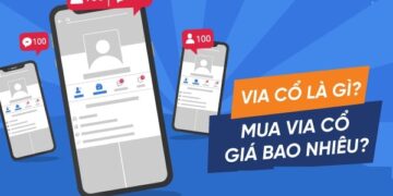 Tìm hiểu về via là gì và via việt cổ là gì?