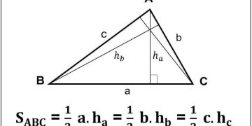 Diện tích tam giác vuông